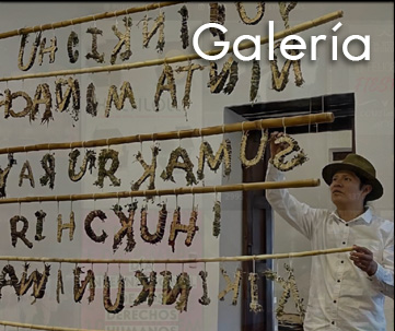 Galería